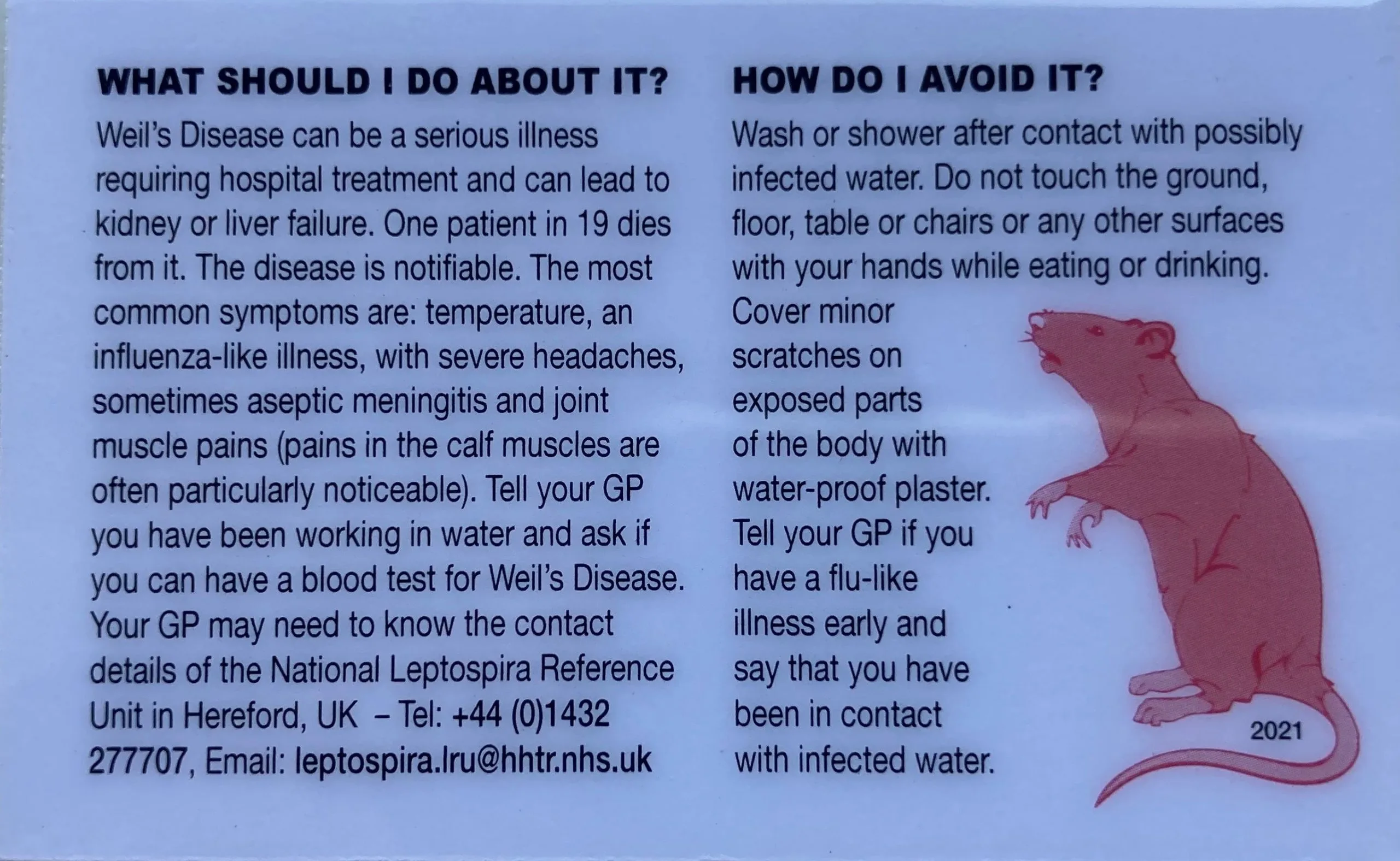 Weil's Disease Card - Image 2