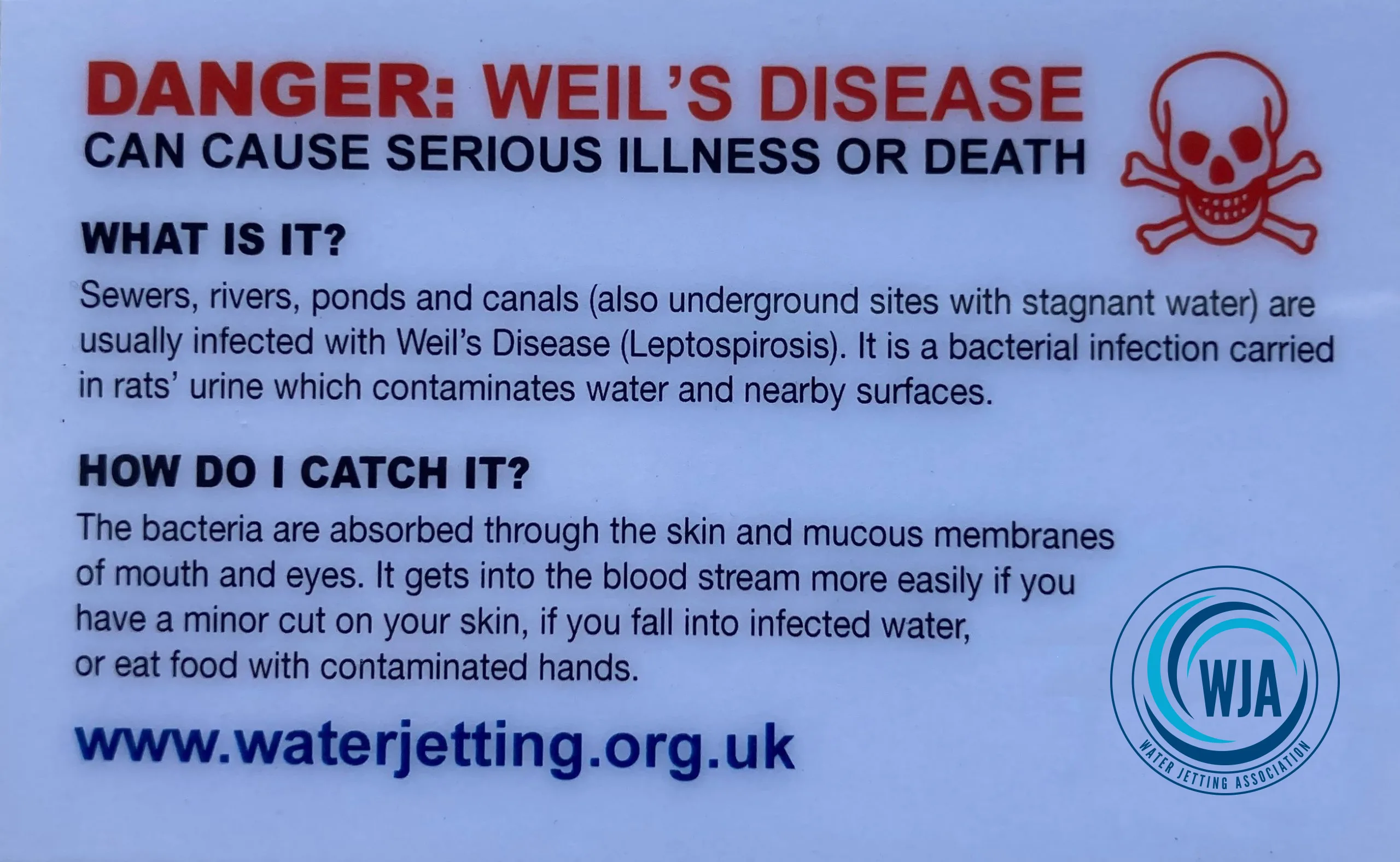 Weil's Disease Card